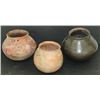 Image 1 : Casas Grandes Pottery Group