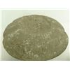 Image 8 : 3 Oregon Stone Weights