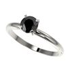 0.75 CTW Fancy Black VS Diamond Solitaire Engagement Ring 10K White Gold - REF-28K5W - 32877
