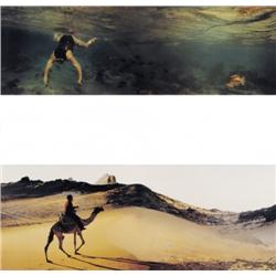  Panamarenko , Reis naar Egypte I - Reis naar Egypte II (1990) , 1940- ,  , Belgian School