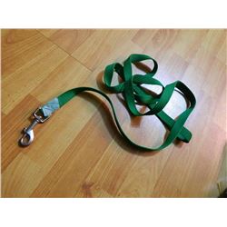 USED DOG LEASH - GREEN - SOME TARNISH ON CLIP