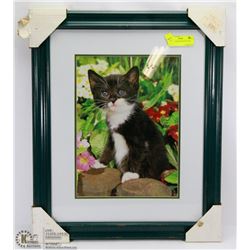 WOOD FRAMED KITTEN PICTURE