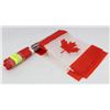 Image 1 : 5 PACK OF EXTENDABLE CANADA FLAGS