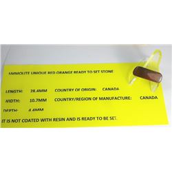 20 - ORANGE/RED  NATURAL AMMOLITE