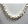 Image 2 : 35) STERLING SILVER FRESHWATER PEARL NECKLACE