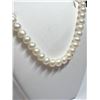 Image 3 : 35) STERLING SILVER FRESHWATER PEARL NECKLACE