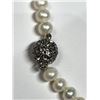 Image 5 : 35) STERLING SILVER FRESHWATER PEARL NECKLACE
