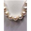 Image 1 : 50) STERLING SILVER PEARL NECKLACE WITH CLASP