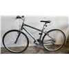 Image 1 : GREY TREK BIKE