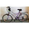 Image 1 : PURPLE ORYX BIKE