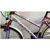 Image 2 : PURPLE ORYX BIKE