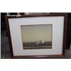 Image 1 : ROBERT BATEMAN SWAN PRINT