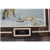Image 2 : SWIFT FOX BY ROBERT BATEMAN