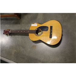 RAVEN ACOUSTIC GUITAR