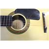 Image 2 : K-100 ACOUSTIC GUITAR - IN CASE