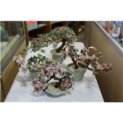 4 JADE TREES
