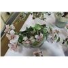 Image 4 : 4 JADE TREES