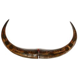 Hand Carved Water Buffalo Horns