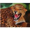 Image 1 : Signed Oil on Canvas Painting, African Leopard