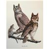 Image 1 : c1950 Audubon Print, Great Horned Owl