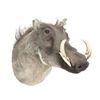 Image 2 : Warthog Head Trophy Mount