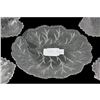 Image 2 : 19thc Maple Leaf Ice Cream Dish Set