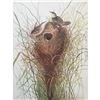 Image 2 : c1946 Audubon Print, #175 Short-Billed Marsh Wren