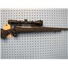 Image 2 : DA... Savage Model 1 1 1 bolt action 300 Win Mag clip Ducks Unlimited Edition Weaver scope