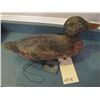 Image 1 : collector wood duck