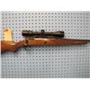 Image 2 : FQ... Savage on 110 bolt action clip 7 mm Rem Mag Caliber Bushnell Banner scope front sight JB welde