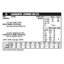 LAUBACH JUMBO 8019