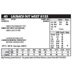 LAUBACH OUT WEST 8133