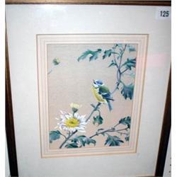 Glazed and framed watercolour of blue tit on blossom by David Ord Kerr