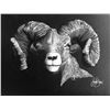 Image 1 : "Mountain "Monarch" Bighorn Sheep Original White Charcoal Art