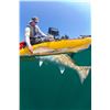 Image 2 : Hobie Mirage Pro Angler 14 Fishing Kayak
