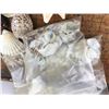 Image 8 : Large lot of Seashells