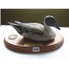 Image 1 : Ducks Unlimited Saskatchewan - Spnsor Decoy - Artist - Harvey Welch