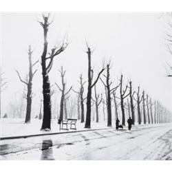 Allee im Winter