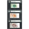 Image 2 : Lot of (3) 1998 Bosnia Central Bank Specimen Notes