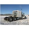 Image 3 : 2015 PETERBILT 389 T/A TRUCK