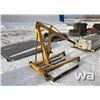 Image 1 : WILMAR 2 TON SHOP CRANE