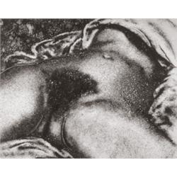 Origin of the World (Pictures of Soil)