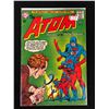 Image 1 : THE ATOM #11 (DC COMICS)