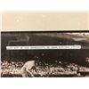 Image 2 : JOE DiMAGGIO SIGNED 20" X 20" FRAMED BLACK & WHITE PHOTO (JSA COA)