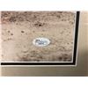 Image 4 : JOE DiMAGGIO SIGNED 20" X 20" FRAMED BLACK & WHITE PHOTO (JSA COA)