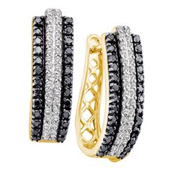 1 CTW Black Color Diamond Triple Row Hoop Earrings 14KT Yellow Gold - REF-75K2W