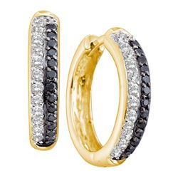 0.65 CTW Black Color Diamond Hoop Earrings 14KT Yellow Gold - REF-64K4W