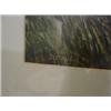 Image 3 : FRAMED WILDFOWL PRINT