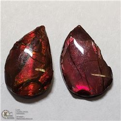 372) 2 GENUINE CANADIAN AMMOLITES, APPROX 5.5 CTS