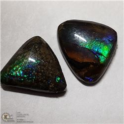 371) 2 GENUINE CANADIAN AMMOLITES, APPROX 2.50CTS